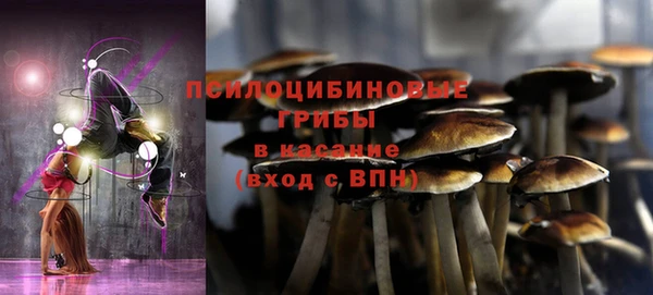 прущие грибы Михайловка