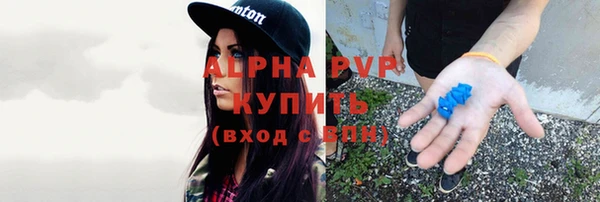 прущие грибы Михайловка