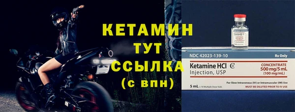 прущие грибы Михайловка
