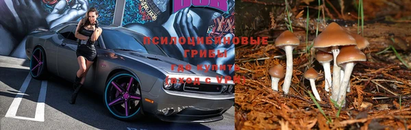 меф Медвежьегорск