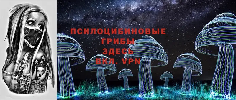 Псилоцибиновые грибы Magic Shrooms  ОМГ ОМГ зеркало  Невельск 