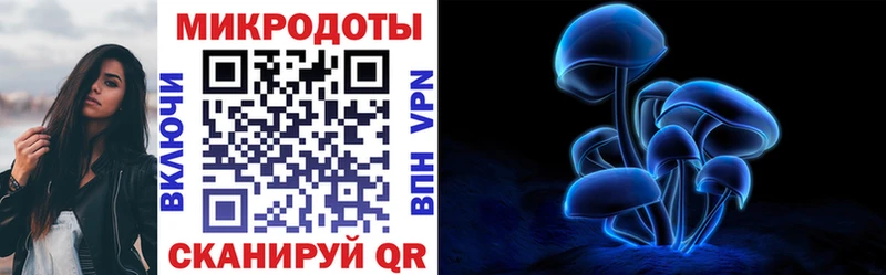 Галлюциногенные грибы Cubensis  наркота  Невельск 